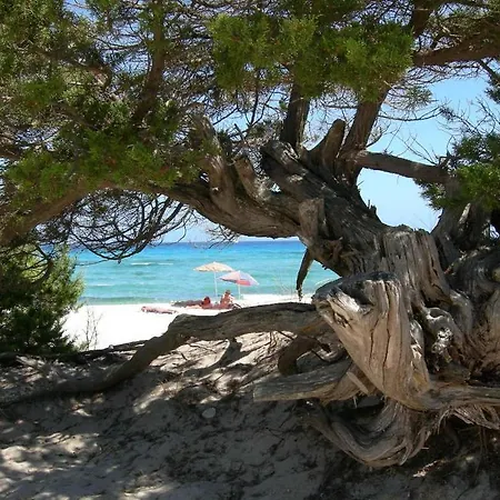 Stunning Bouganvillage Bedroom Sleeps 4 Child No1314 Apartment Tanaunella